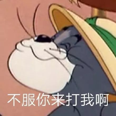 100张猫和老鼠搞怪表情包,汤姆杰瑞猫鼠大战