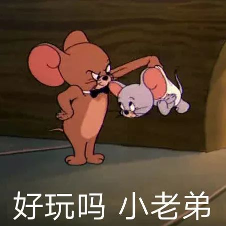 100张猫和老鼠搞怪表情包汤姆杰瑞猫鼠大战