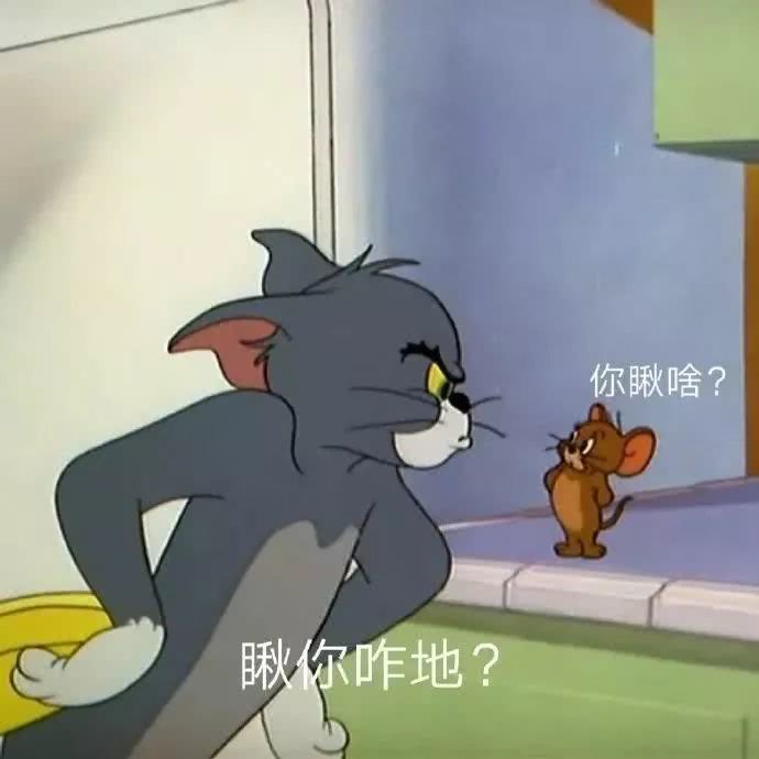 100张猫和老鼠搞怪表情包,汤姆杰瑞猫鼠大战