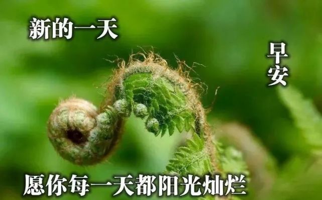 漂亮风景早上好动态表情图片带字,早安问候表情图片
