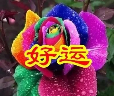 出门,把步跑; 云儿飘,树儿摇; 草儿摆,花儿笑; 手机响,短信到; 收祝福