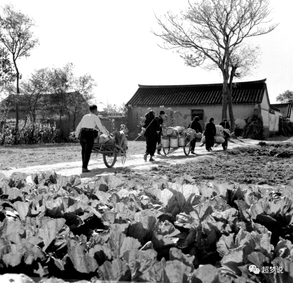 老照片建国初期的农村新气象图组