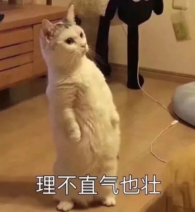 萌宠表情包一只失去了梦想的狗