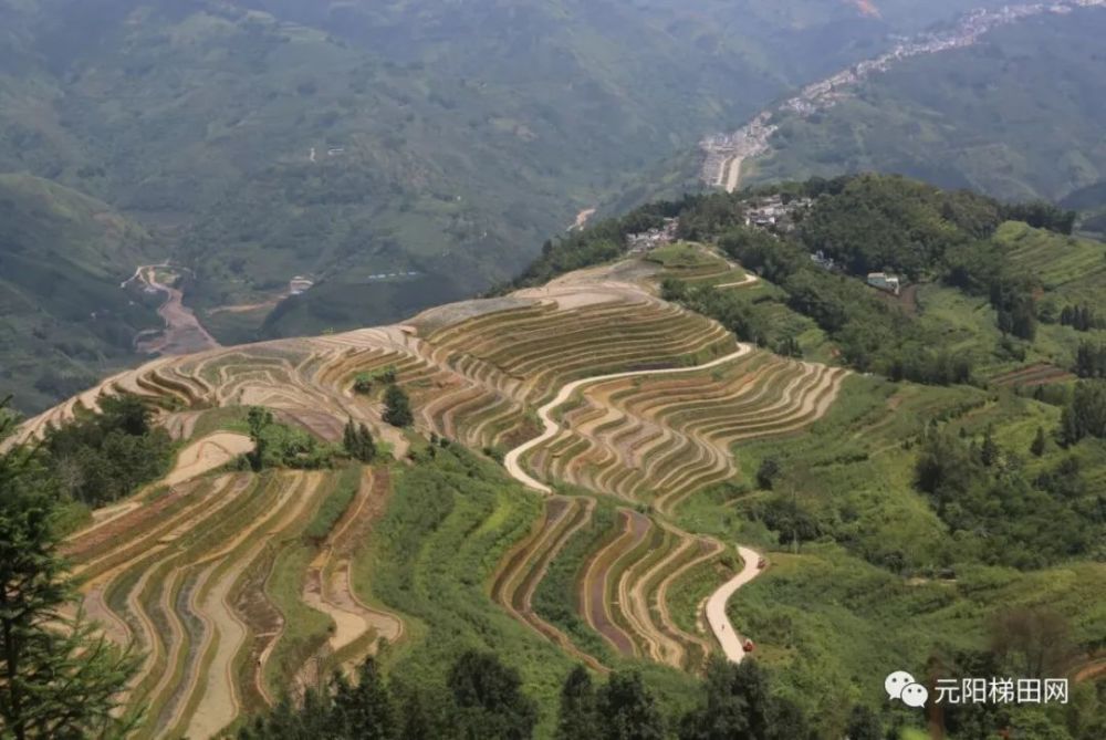 黄草岭乡部分地名的由来,速看