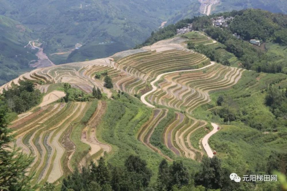 黄草岭乡部分地名的由来,速看