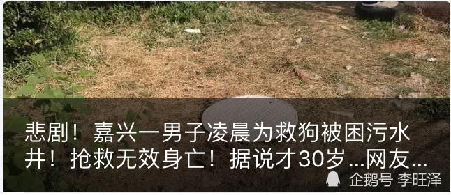 嘉兴为救狗掉入污水井案:物业应承担补充赔偿责任