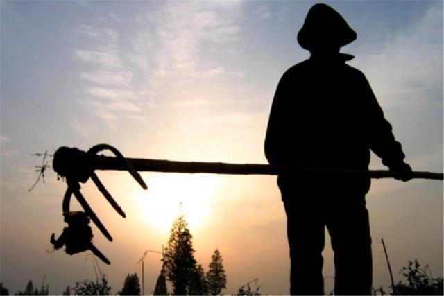 梦的追逐，解析梦见与他人争执后被追赶的深层含义