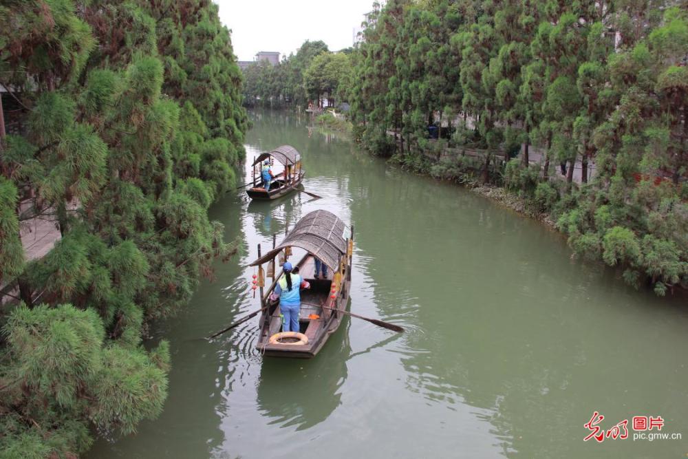 广东:岭南水乡醉游人