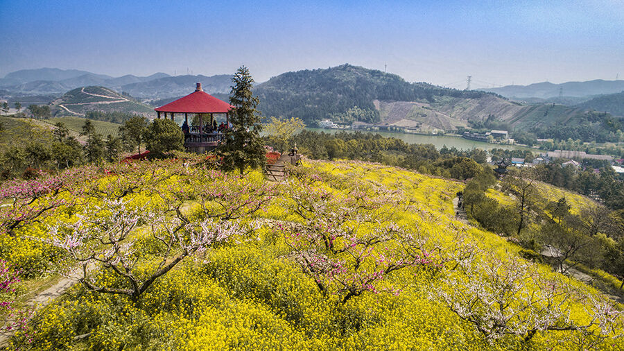 四月桃花朵朵开 长兴城山沟风景区 低音号旅游