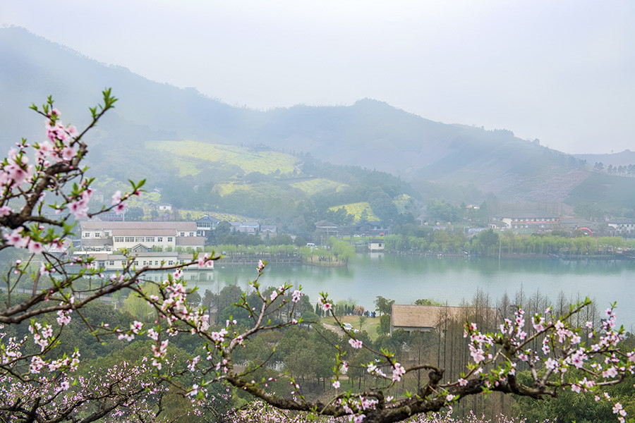 四月桃花朵朵开 长兴城山沟风景区 低音号旅游