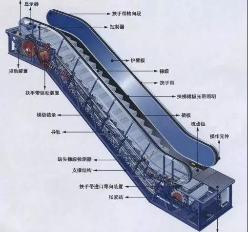 2019年4月,上海地铁发布了"最新版自动扶梯乘梯须知,其中最大的变化