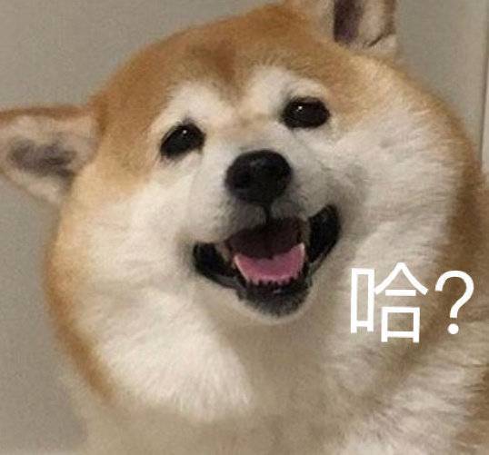 萌宠表情包我可爱吗