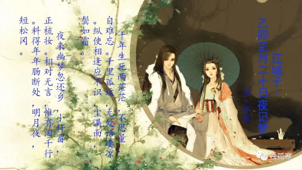 十年生死两茫茫,不思量,自难忘