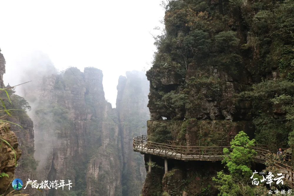 北帝山汇集张家界之奇三青山之秀梵净山之仙广西旅游年卡