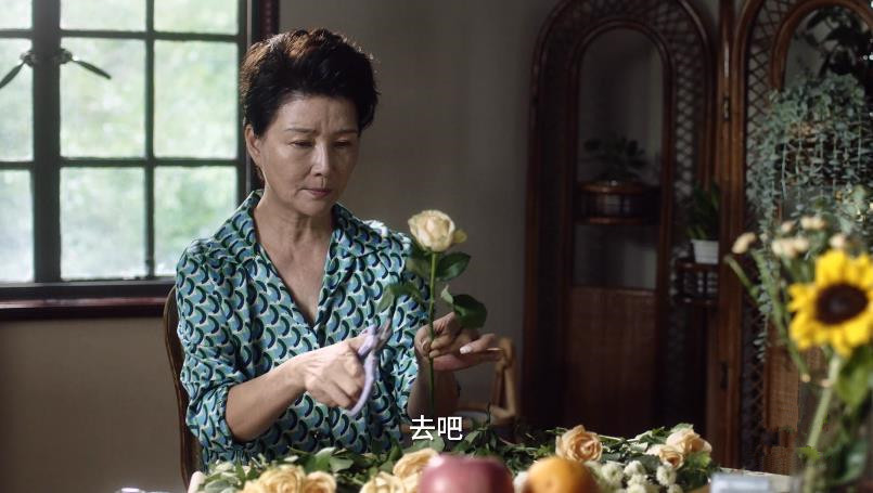 小舍得:保姆给赵娜吃剩菜,被南俪开除,赵娜又想和南建龙复婚?