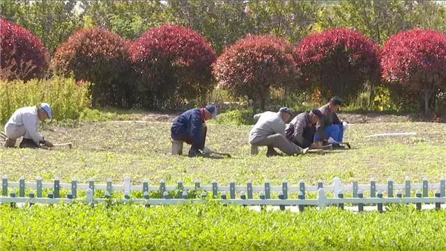 朱若玉 创业打造现代循环农业 引领乡村振兴发展