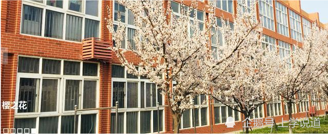 青岛工程学院,青岛工学院,青岛工程职业学院大家能分清楚吗