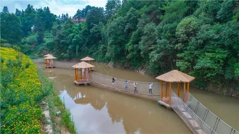 大田湿地人家,万峰呐溪原乡等多个乡村旅游景点,其中,武隆首个丛林