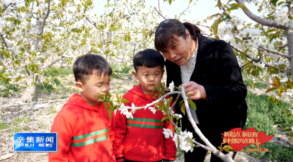 樱桃好吃树难栽简谱_樱桃好吃树难栽简谱 左权民歌 谱友园地 中国曲谱网(2)