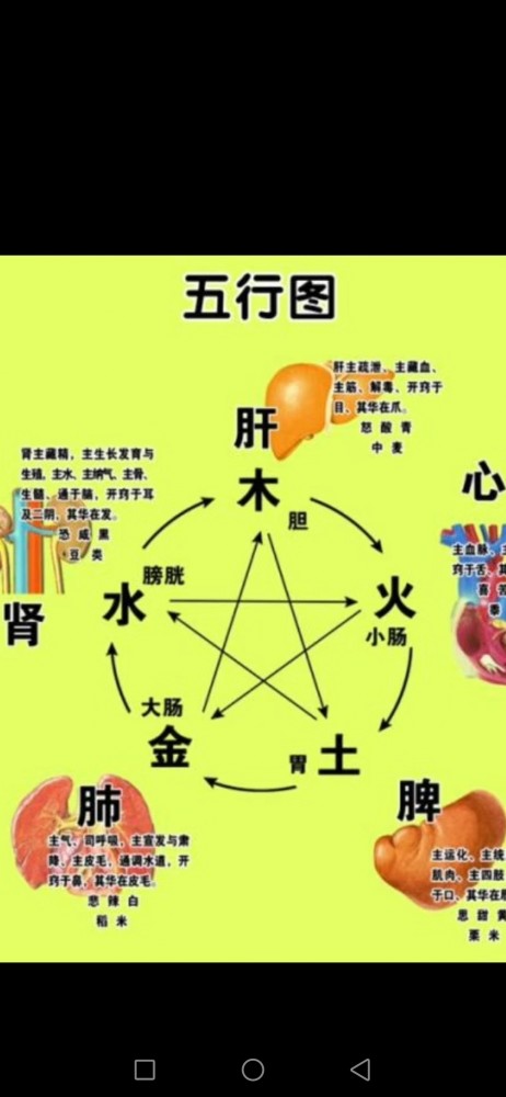 阴阳五行理论在中医和其他领域的应用,连同天人感应,宇宙信息同步等