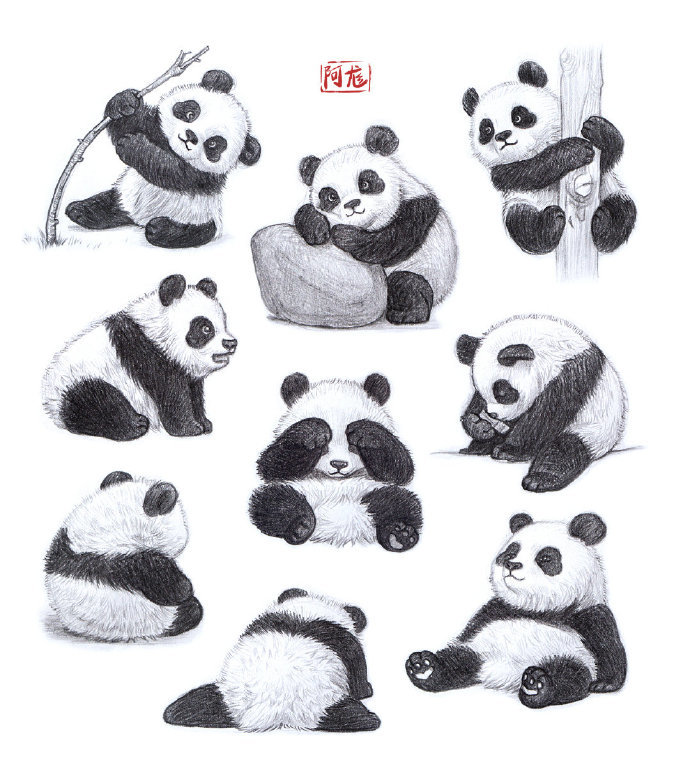 国宝熊猫怎么画大熊猫怎么画多种姿态参考素材
