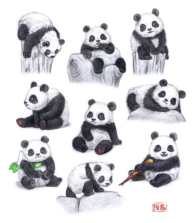 国宝熊猫怎么画大熊猫怎么画多种姿态参考素材