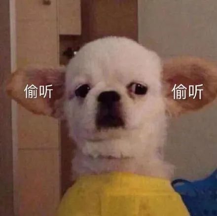 可爱呆萌的表情包