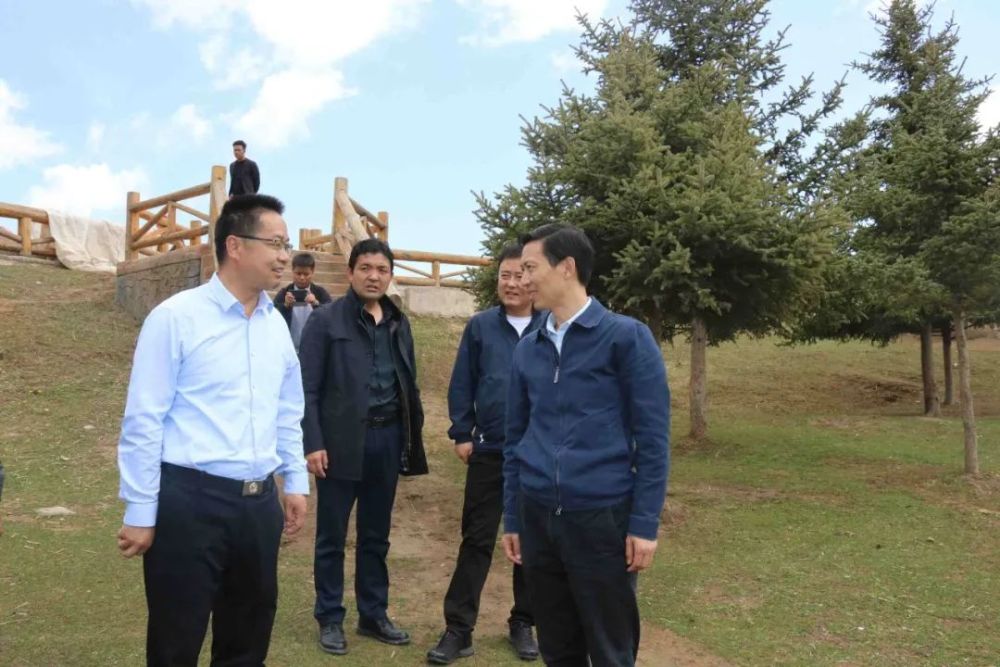 冯小林检查指导冶力关大景区建设工作