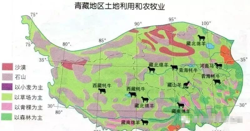 【备考干货】常见的农业类型和农业区位合集