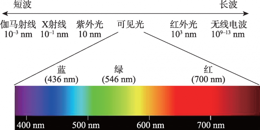 图7光的波长和分类(图片来自网络)