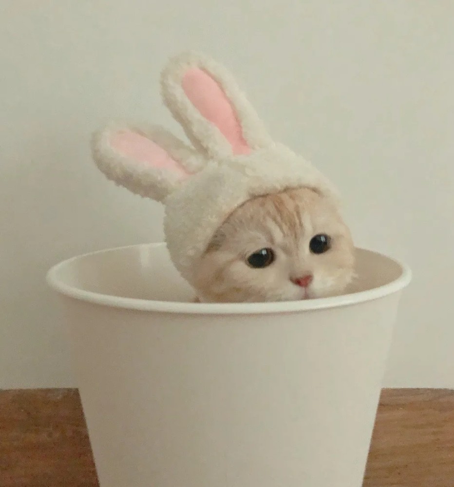 猫狗可爱闺蜜头像快收藏