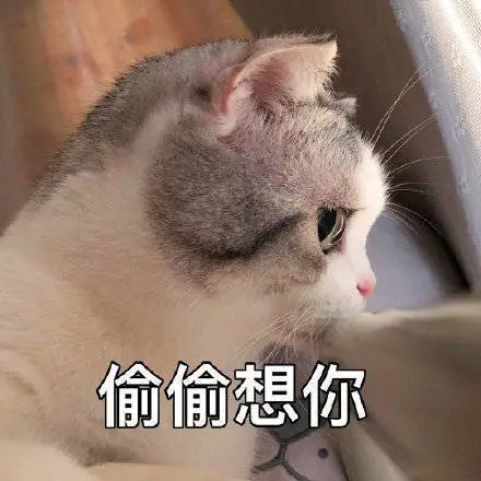 "跟你家臭宝吵架后服软发的表情包"