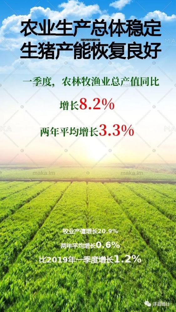 洋县gdp_洋县老照片