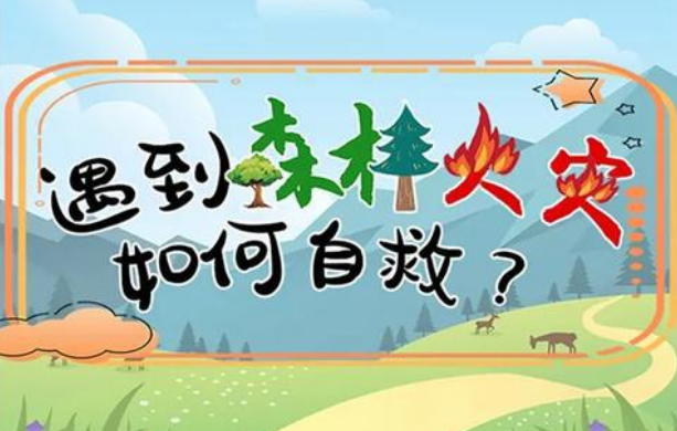 科普遇到森林火灾莫惊慌一幅漫画教你如何正确报警如何逃生自救