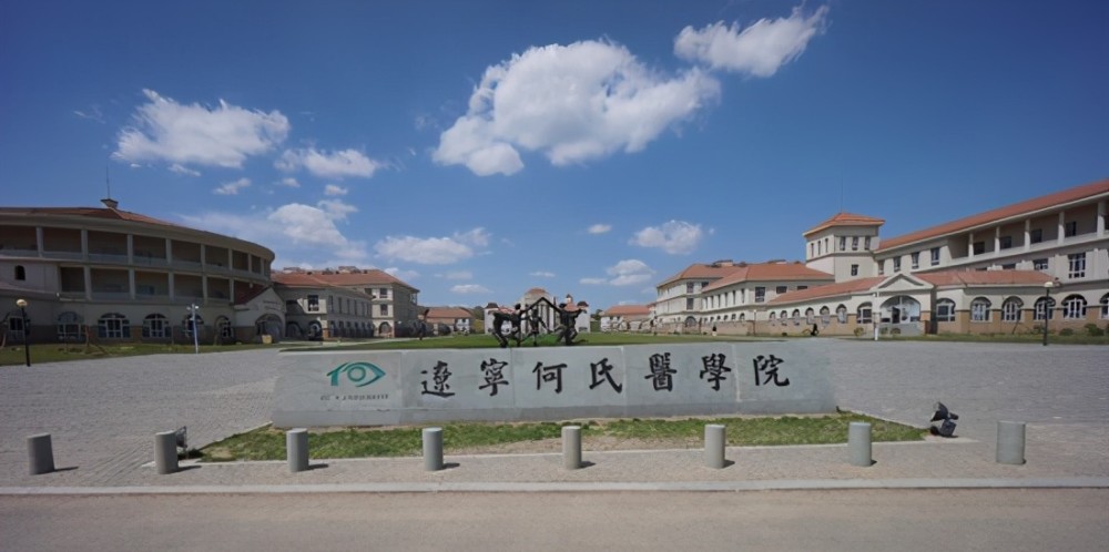 辽宁何氏医学院创办于1999年,是一所以视觉科学为特色,深度医教研产