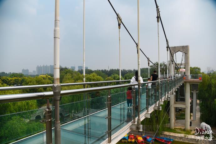 解锁城市图鉴#聊城自驾,好玩有趣的姜堤乐园