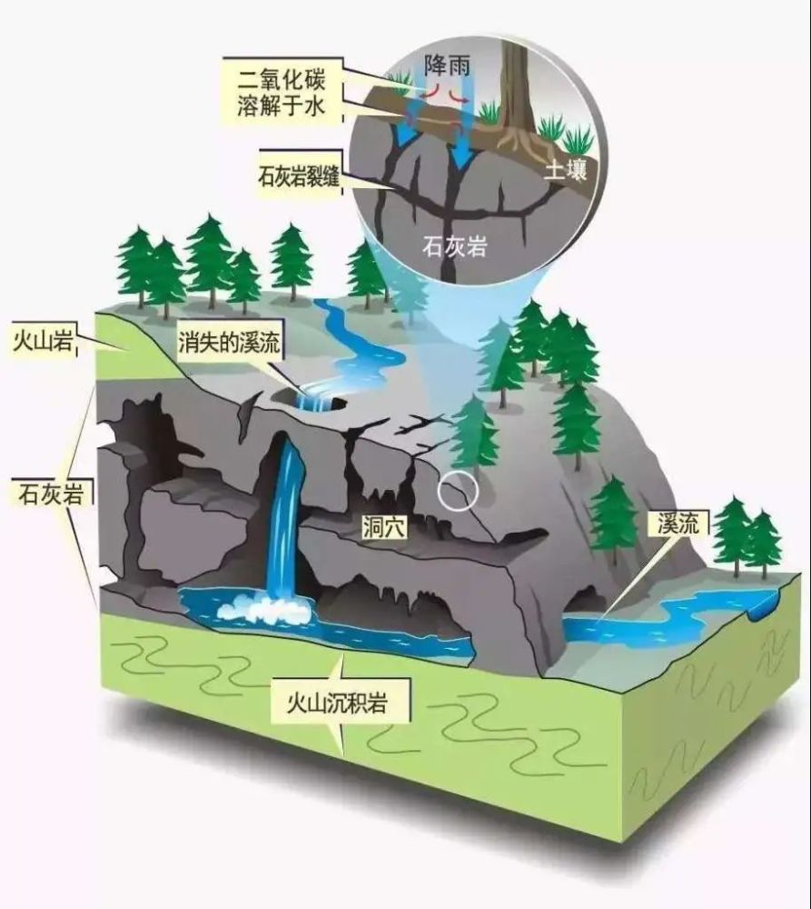 石灰岩分布面积大,(匠心地理公众号整理)所以喀斯特地貌只在石灰岩
