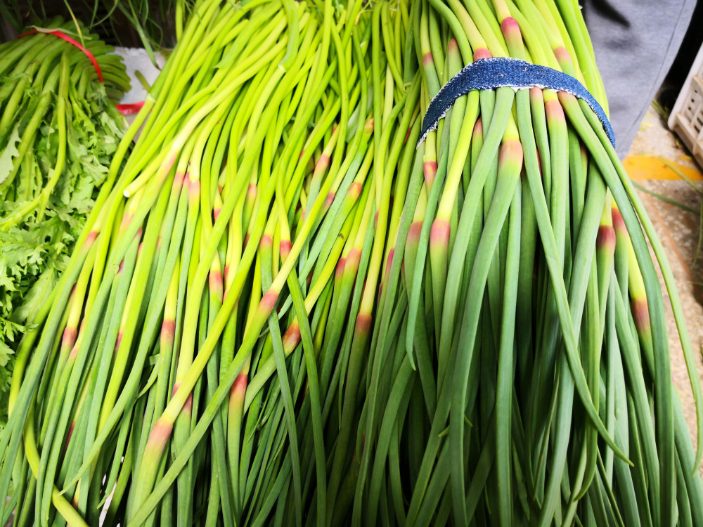 "绿头"蒜苔和"红头"蒜苔有啥区别?菜农告诉你答案,不懂可惜