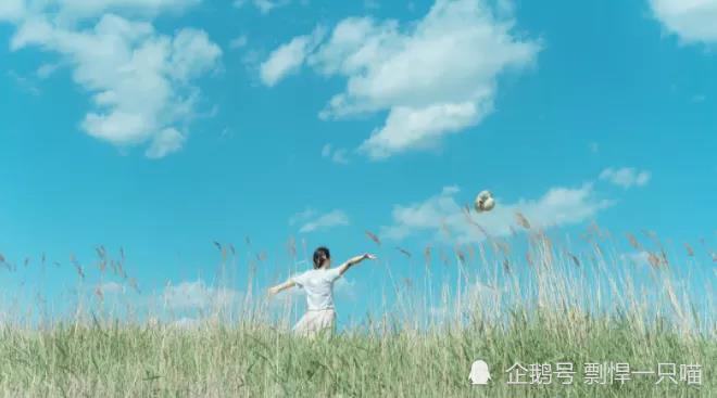 再苦再累,咬牙熬过去,便是明朗风清!