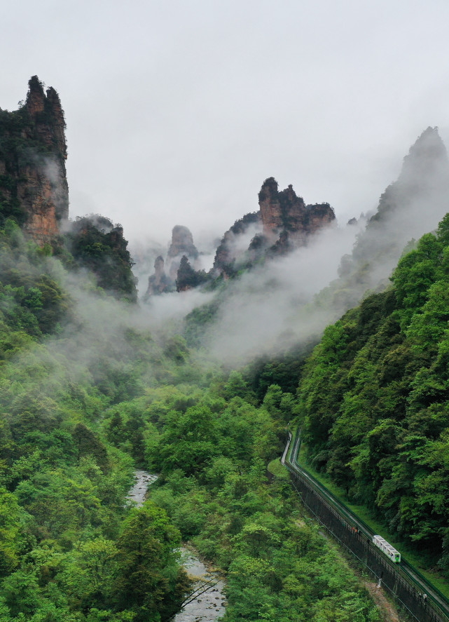 十里画廊,张家界武陵源核心景区中的精华景点,"十里峰丛美如画".