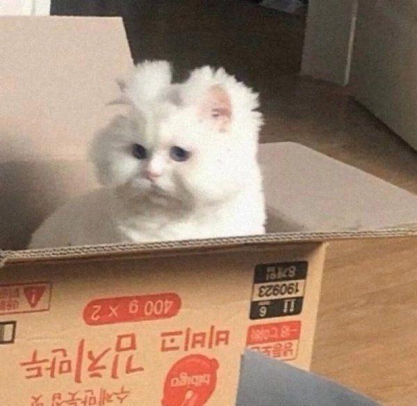 憨憨的沙雕头像