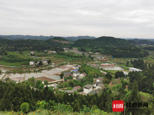 四川蓬溪站在新起点走出适合当地特色的现代农业发展之路