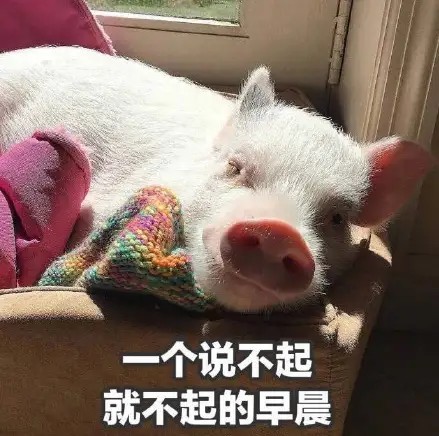 放假表情包‖假期的意义