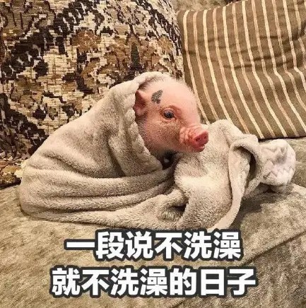 放假表情包‖假期的意义