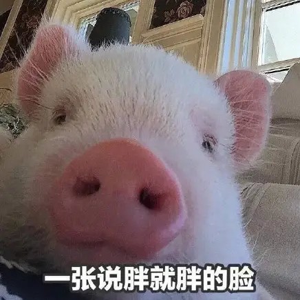 放假表情包‖假期的意义