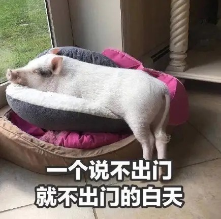 放假表情包‖假期的意义
