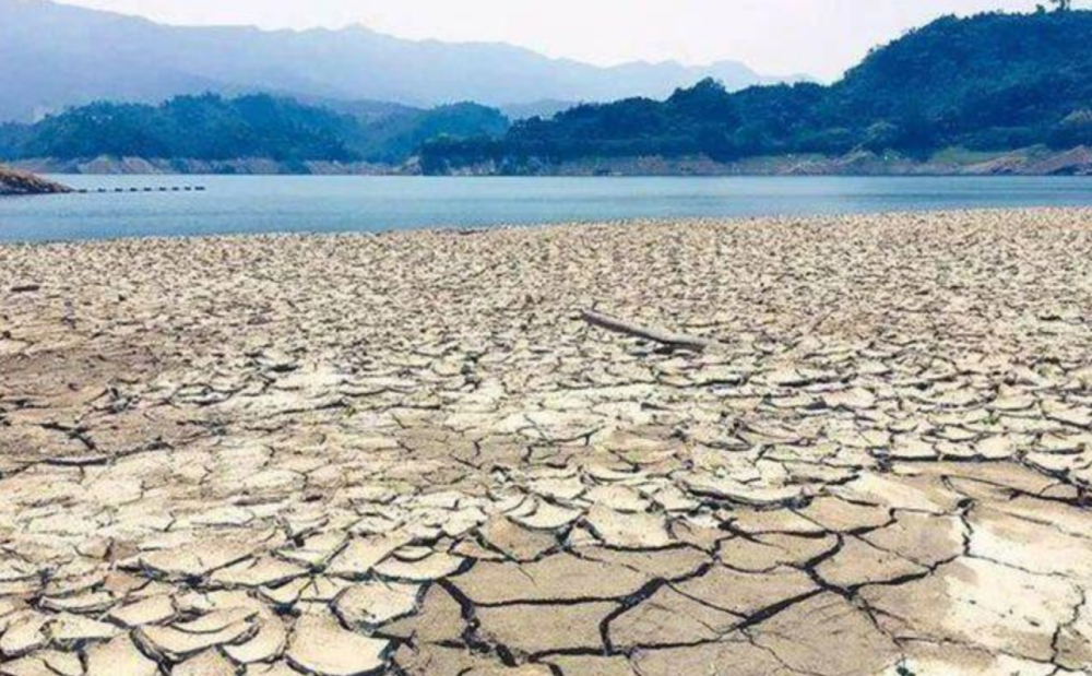 "台湾硅谷"新竹科学园内的台积电 正遭遇有史以来最严重的一次干旱