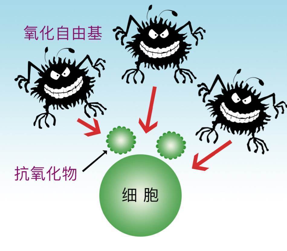 带你了解自由基对人体的危害!提前预防确保自己能有一个好身体