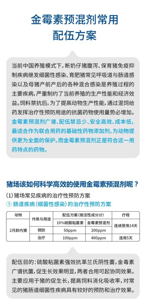 兽药知识|金霉素预混剂常用配伍方案