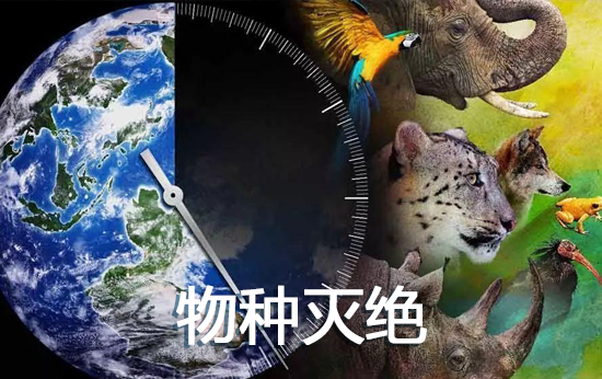 原来,2016至2020年是有记录以来最热5年,全球超3.7万物种濒临灭绝.